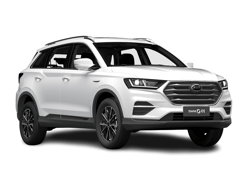 SWM G01 купить по цене от 1 754 500 рублей